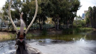 ラ・ブレア・ター・ピッツ & 博物館