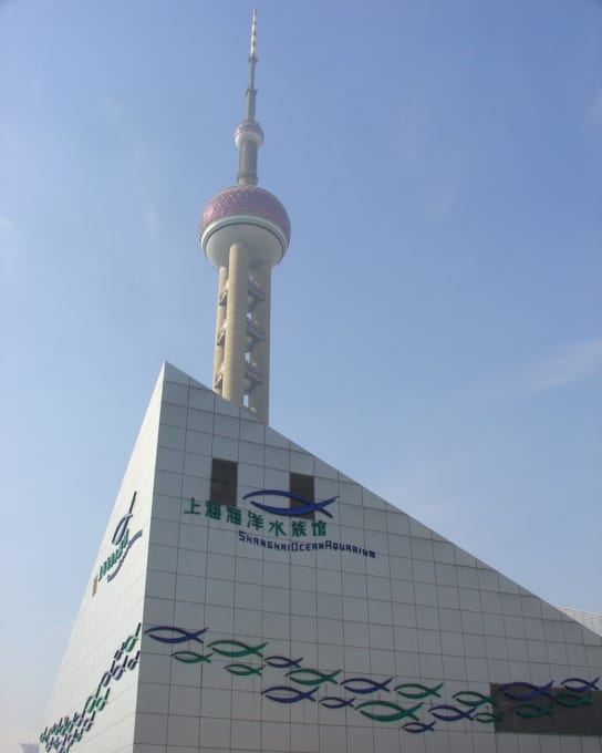 上海海洋水族館