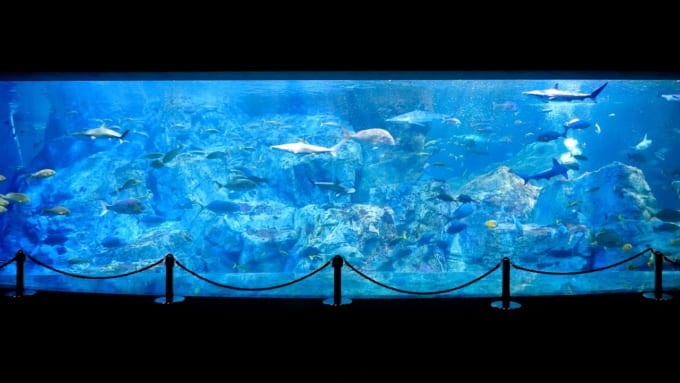 大分マリーンパレス水族館「うみたまご」