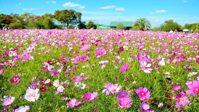 【和泉市】和泉リサイクル環境公園
