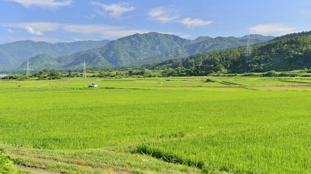 【秋田県】みそを使ったプリンも！八峰町でおすすめのお土産4選