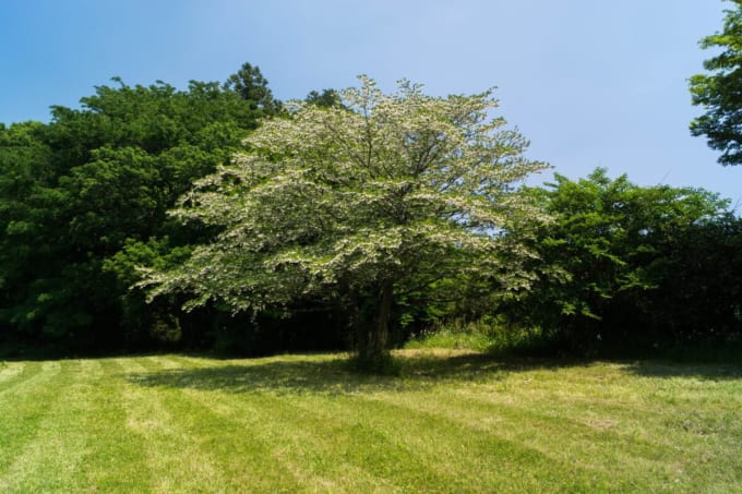 牛久自然観察の森（茨城）