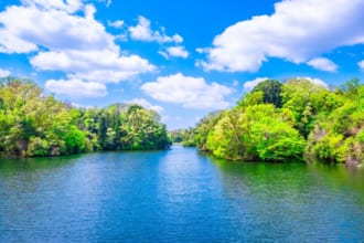 大阪府民の森 室池