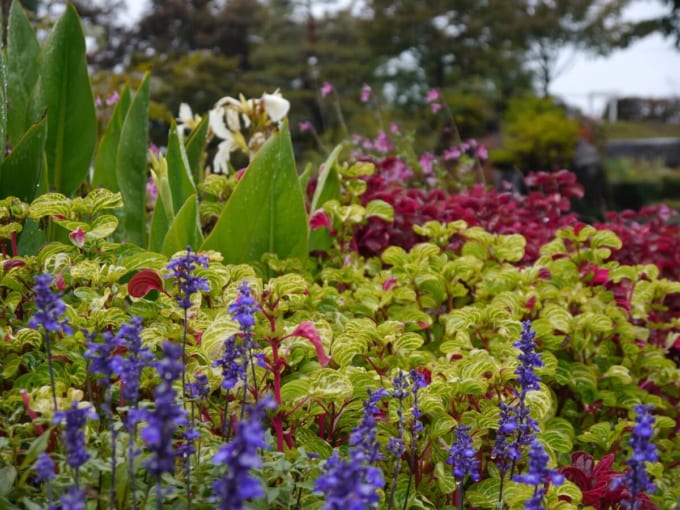 フローラルガーデンおぶせ