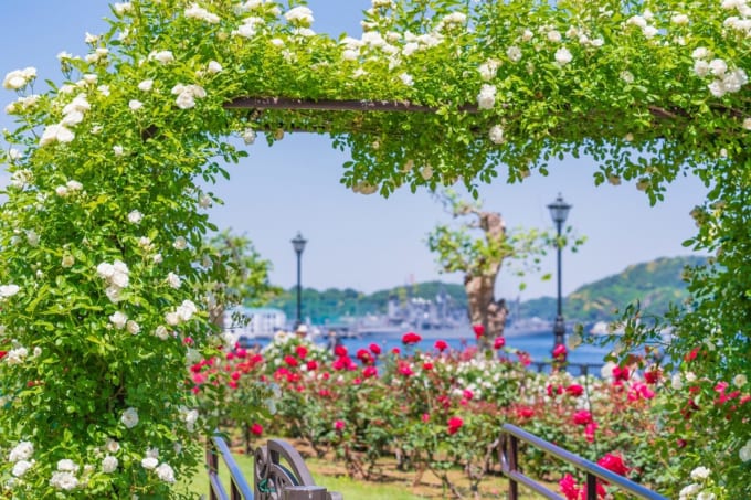 ヴェルニー公園