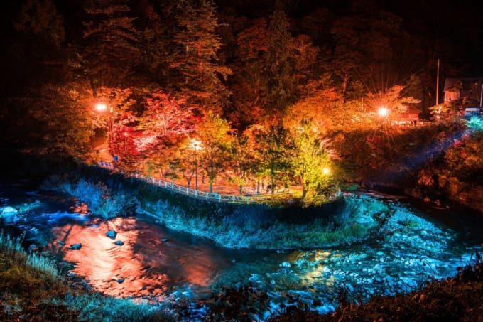 中野もみじ山の紅葉
