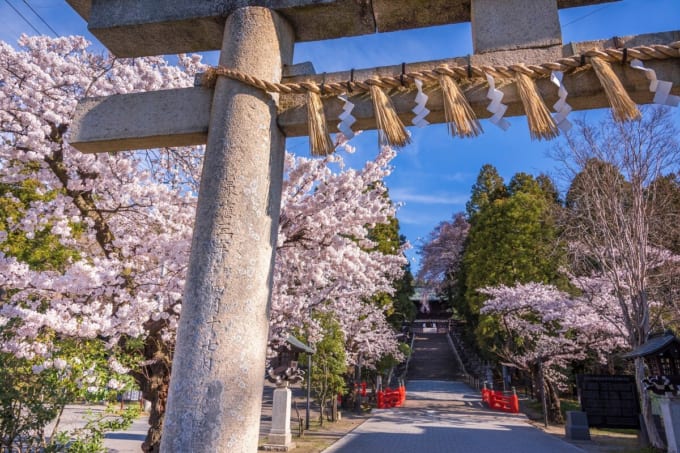 仙台東照宮（宮城×春）