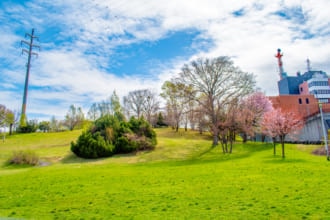 水曜どうでしょう 聖地