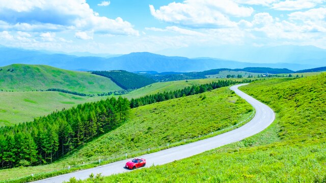 ビーナスライン 夏休み どこ行く おすすめ