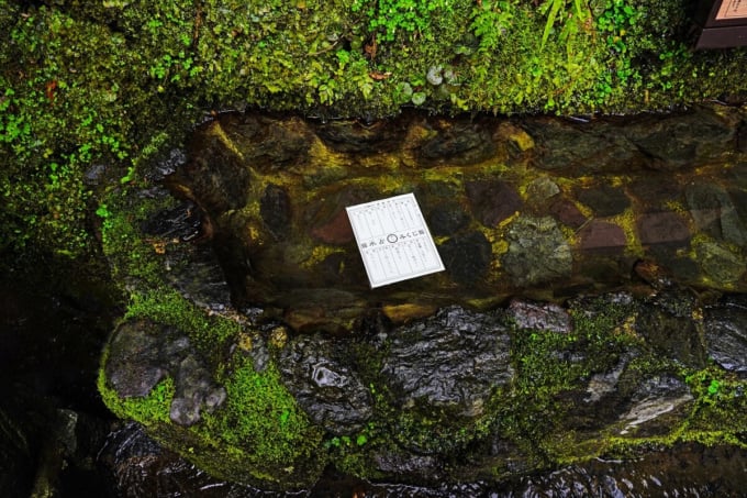 貴船神社　水占みくじ
