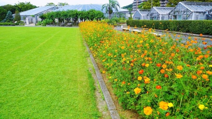 【鎌倉市】日比谷花壇 大船フラワーセンター