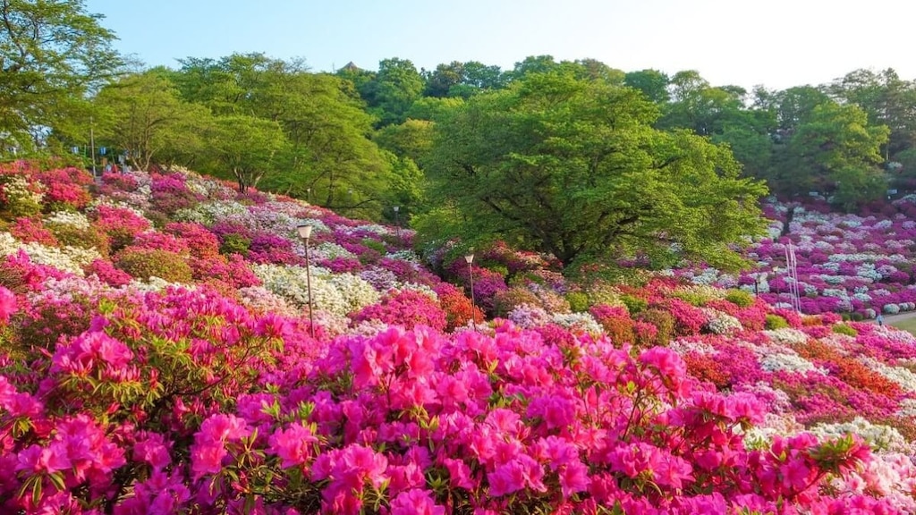 鯖江の魅力が詰まった観光スポット5選｜自然・歴史・伝統に触れるならココ！