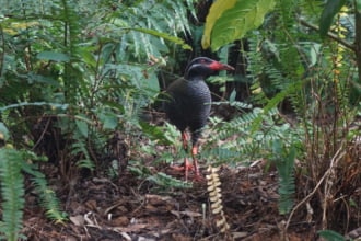 安田くいなふれあい公園