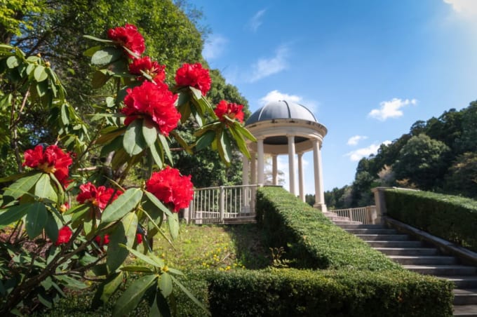 七ツ洞公園（茨城・水戸）