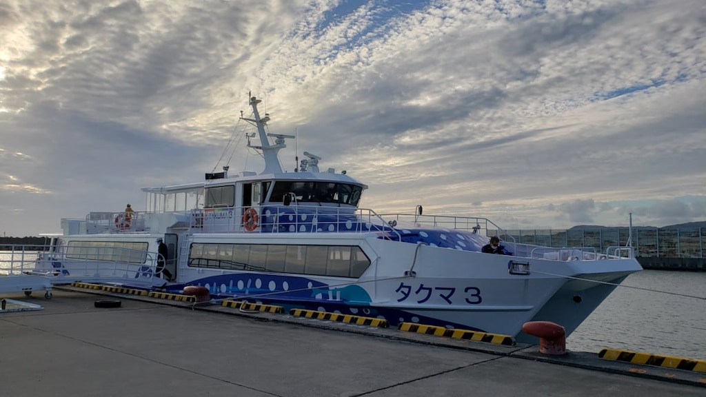 【那覇⇔名護漁港・本部75分】高速船「ジンベエ・マリン」とは？渋滞なしで美ら海へ