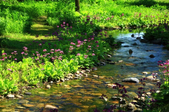 六花の森（北海道河西郡）