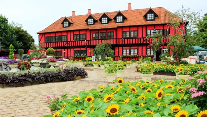 千葉県船橋市にある「ふなばしアンデルセン公園」のひまわり