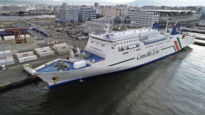 カメリアライン