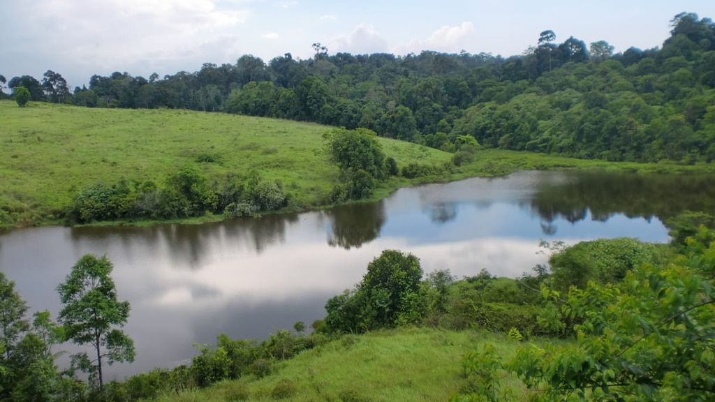 【タイ】カオヤイ国立公園の楽しみ方とは？｜入場料や巡り方もご紹介