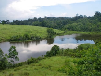 カオヤイ国立公園 楽しみ方