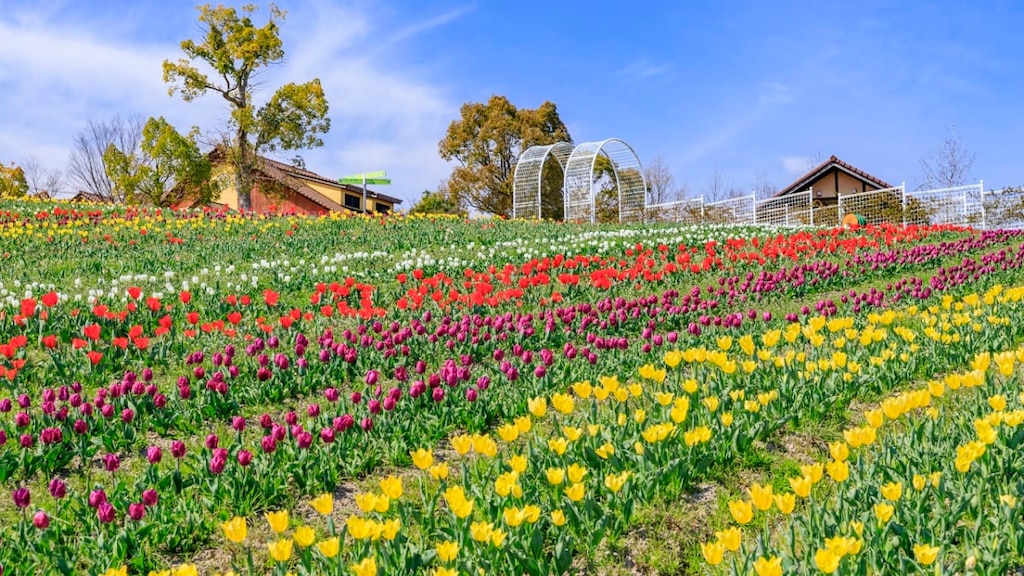大阪・堺市の魅力が詰まった観光スポット4選！
