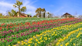 緑のミュージアム ハーベストの丘