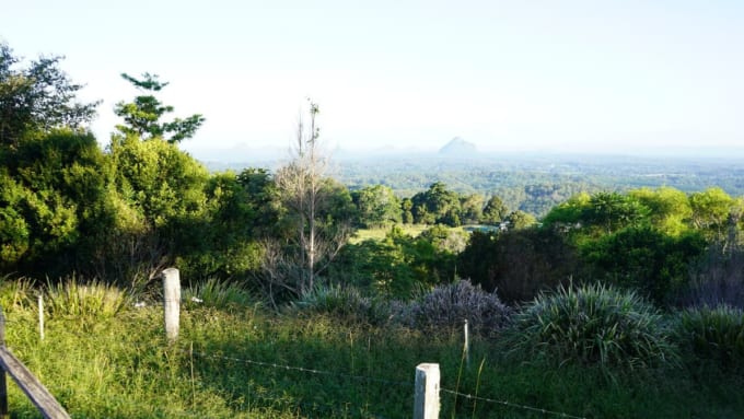 メアリー・ケイルンクロス・シニック保護区（オーストラリア・サンシャインコースト）