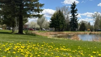 ラボンテ公園（ワイオミング州 ララミー）