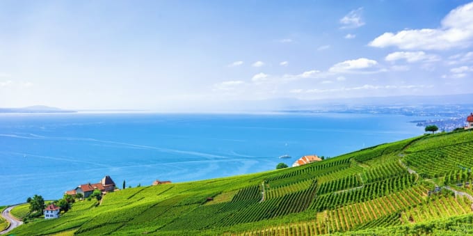 ラヴォー地区のブドウ畑【スイス世界遺産】