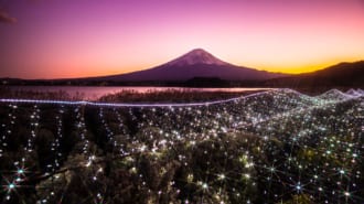 河口湖大石公園（山梨）