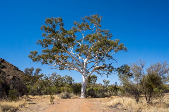 アリススプリングス