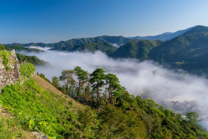 雲海に浮かぶ津和野城址（島根県津和野町）