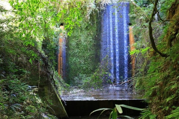 むろいけ園地 緑の文化園