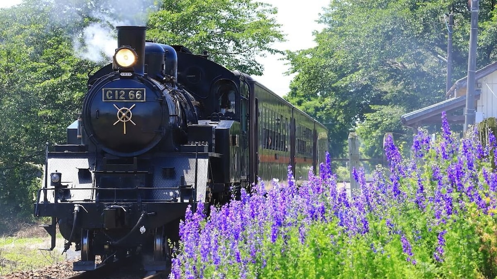 栃木の穴場な観光地！栃木県真岡市のおすすめ観光スポット10選