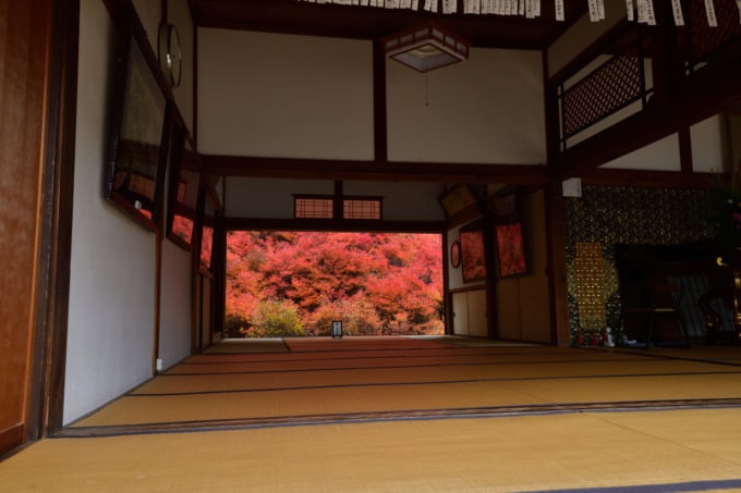 但馬安国寺 紅葉