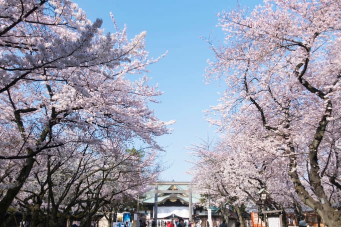 桜が綺麗な神社 東京