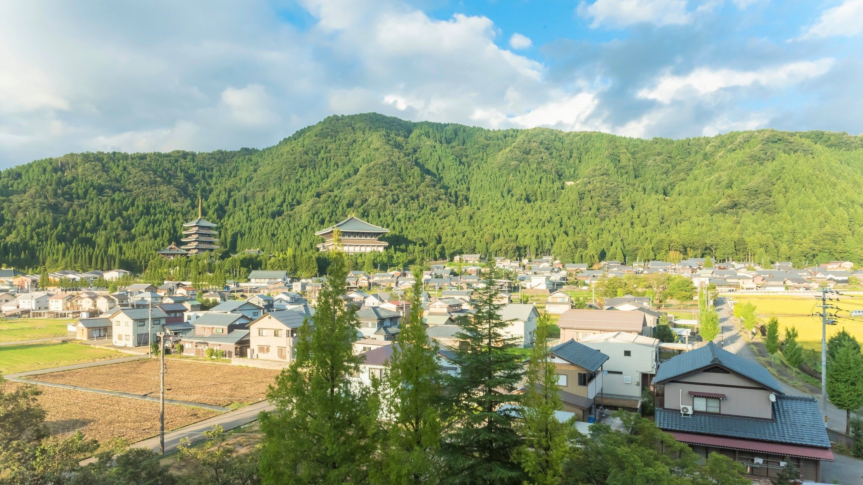 福井県 勝山市周辺のおすすめホテル 恐竜博物館や白峰温泉 スキーが人気 Skyticket 観光ガイド