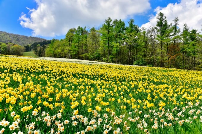 Mt.JEANS マウントジーンズ那須