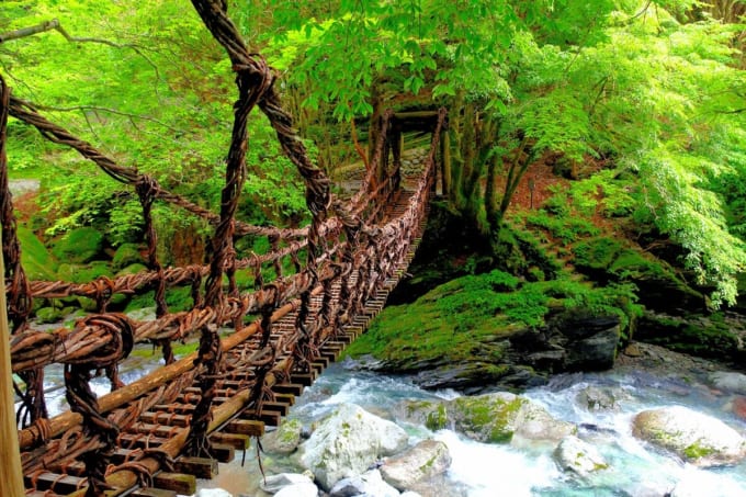 奥祖谷二重かずら橋
