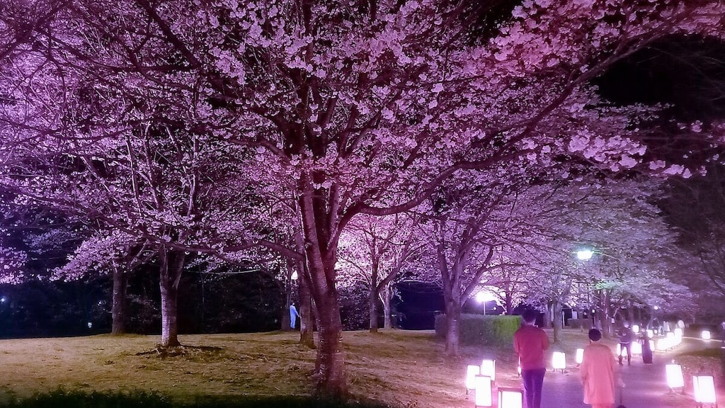 おもちゃのまち栃木・壬生町でオススメしたい観光スポット9選