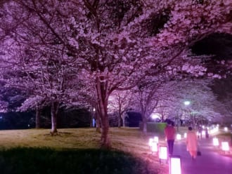 東雲公園（壬生町）