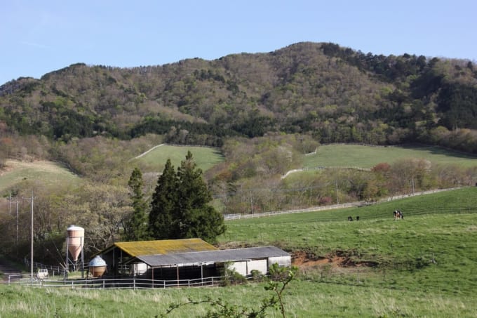 町営豊月平放牧場