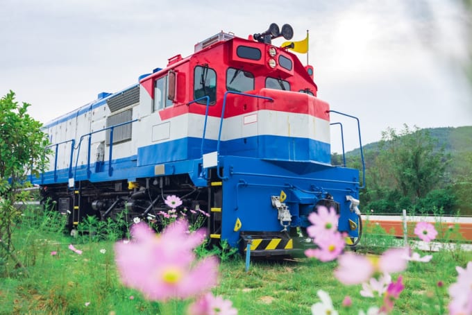ムグンファ号と花