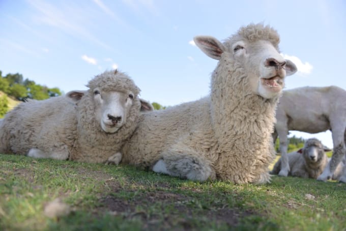 伊香保グリーン牧場（群馬）
