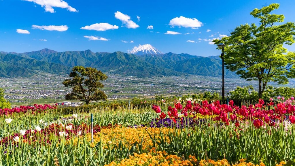 山梨県山梨市でおすすめのお土産４選