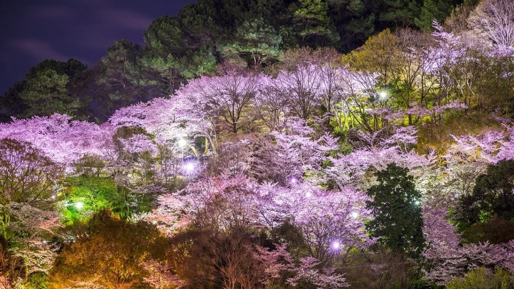 河内長野の魅力を満喫できるおすすめの観光スポット7選