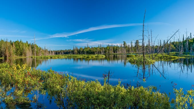 ローリエ森林保護区