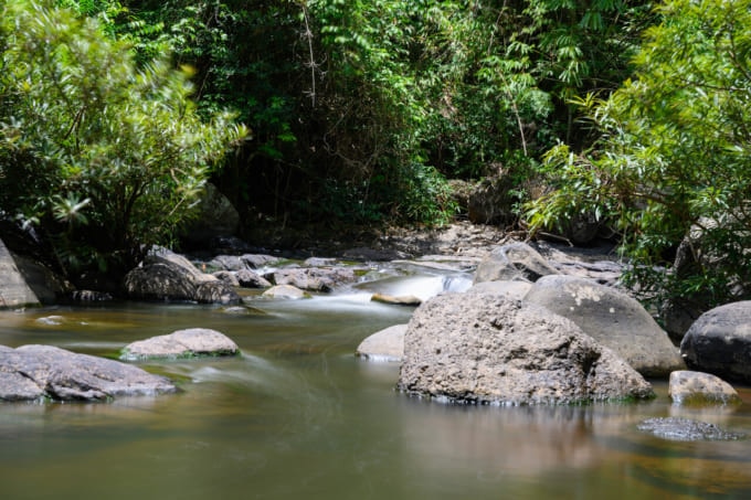 カオヤイ国立公園 楽しみ方