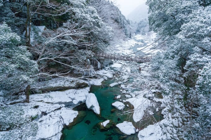 雪の 祖谷渓「かずら橋」