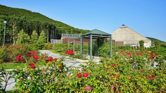 いわみざわ公園（北海道）